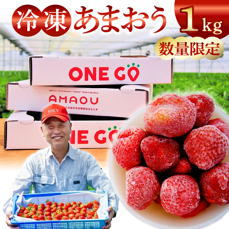 【数量限定】福岡県産あまおう（冷凍1kg）特別栽培_数量限定 急速冷凍 いちご あまおう 1kg 冷凍 3Dフリーザー 長期保存可能 国産 サクサク シャーベット フルーツ デザート フレッシュ 果物 便利 安心 長持ち 無添加 無香料 無加糖 エコファーマー GAP認定 福岡県 久留米市 送料無料_Fi203