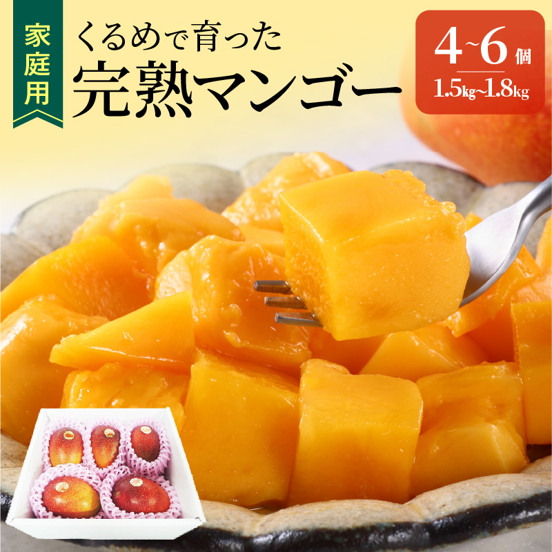 【2026年6月以降お届け】【家庭用】くるめで育った完熟マンゴー（4～6個：約1.5～1.8kg）_家庭用 トロ～ッと口のなかでとろける くるめで育った 完熟マンゴー 4個 ～ 6個 甘い 子供も安心 フルーツ 果物 果実 マンゴー 完熟 国産 家庭用 訳あり 冷蔵 クール便 倉重農園 お取り寄せ 福岡県 久留米市 送料無料_Fm008