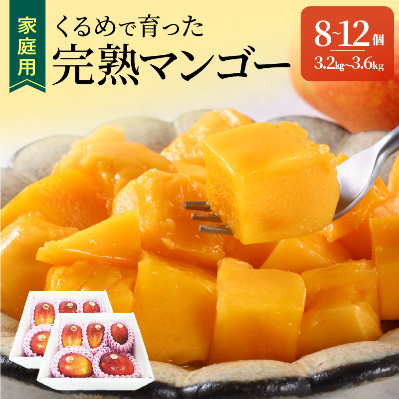 【2026年6月以降お届け】【家庭用】くるめで育った完熟マンゴー（8～12個：約3.2～3.6kg）_家庭用 トロ～ッと口のなかでとろける くるめで育った 完熟マンゴー 8個 ～ 12個 甘い 子供も安心 フルーツ トロピカルフルーツ 果物 マンゴー 完熟 国産 ビタミンA 冷蔵 アップルマンゴー お取り寄せ 福岡県 久留米市 送料無料_Fm009