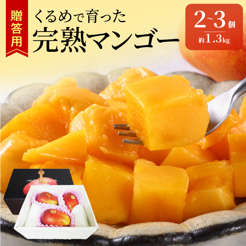 【2026年6月以降お届け】くるめで育った完熟マンゴー(2～3個：約1.3kg)_贈答用 完熟マンゴー 2個 ～ 3個 約 1.3kg 久留米産 完熟 マンゴー 国産 とろける 甘さ 地植え フルーツ トロピカルフルーツ アップルマンゴー 果物 デザート 冷蔵 クール便 倉重農園 お取り寄せ お取り寄せフルーツ 福岡県 久留米市 送料無料_Fm011
