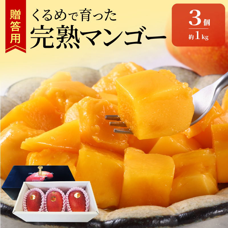 【2026年6月以降お届け】くるめで育った完熟マンゴー（3個：約1kg）_先行予約！贈答用 トロ～ッと口のなかでとろける くるめで育った 完熟マンゴー 3個 約 1kg 甘い 子供も安心 フルーツ  果物 マンゴー 完熟 国産 冷蔵 クール便 倉重農園 お取り寄せ 福岡県 久留米市 送料無料_Fm013