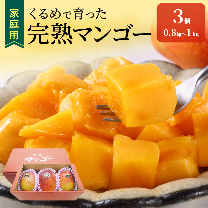 【2026年6月以降お届け】【家庭用】くるめで育った完熟マンゴー（3玉：約0.8～1kg）_先行予約 家庭用 くるめで育った 完熟マンゴー 3個 約 0.8kg ～ 1kg 糖度 17度 ～ 18度 甘い とろける 子供も安心 完熟 トロピカル フルーツ 果物 マンゴー 国産 クール便  倉重農園 地植栽培 お取り寄せ 福岡県 久留米市 送料無料_Fm017
