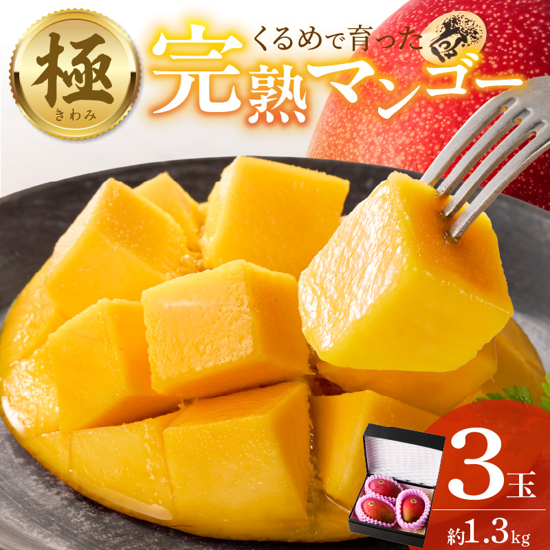【2026年6月以降お届け】極　完熟マンゴー（3玉：約1.3kg）_完熟マンゴー 3玉 約 1.3kg 久留米産 平均糖度 17度～18度 完熟 マンゴー 国産 フルーツ トロピカルフルーツ 果物 デザート 冷蔵 クール便 お取り寄せ お取り寄せフルーツ 福岡県 久留米市 送料無料_Fm019
