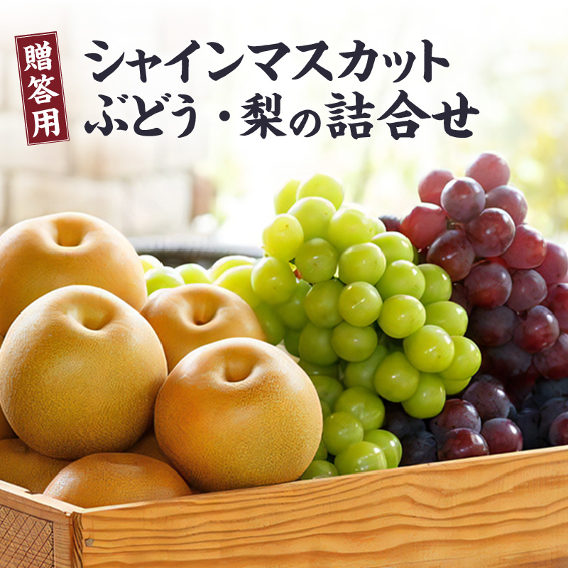【先行予約】※贈答用※【フルトリエ】シャインマスカット・ぶどう・梨の詰合せ☆100年続くフルーツ農家_フルーツ 贈答用 セット 詰め合せ シャインマスカット 450g以上1房 マスカット ぶどう 450g以上1房 梨 2〜4玉 ギフト 贈り物 果物 食べ物 食品 朝採れ 冷蔵 送料無料 100年続くフルーツ農家 フルトリエ 中村果樹園_Fx011