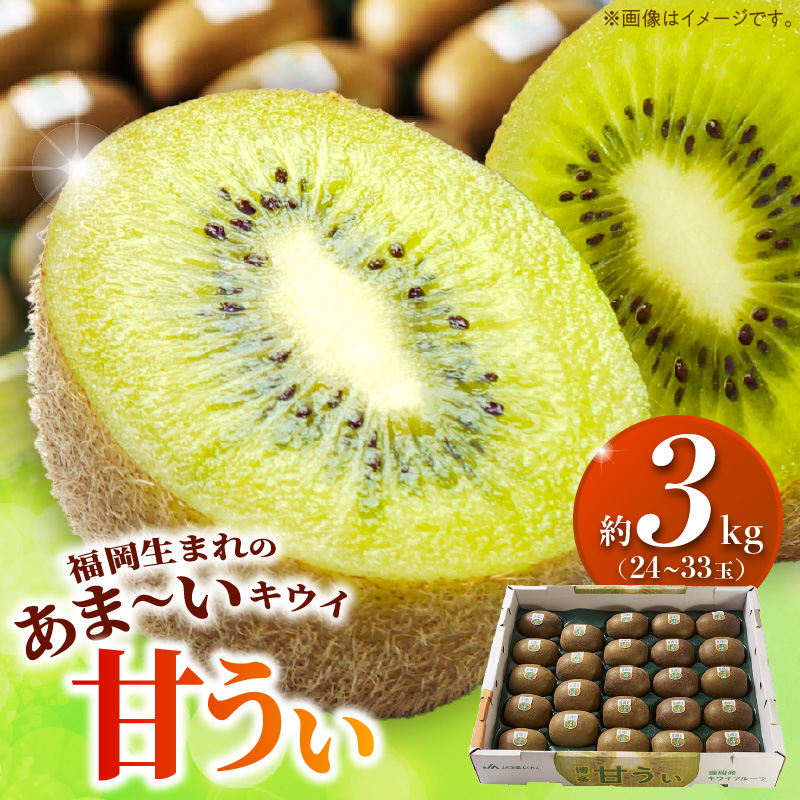 甘うぃ3kg箱_甘い キウイ 甘うぃ キウイフルーツ 3kg 国産 甘みの強い 果実 黄色味 福岡 オリジナル品種 濃厚 まろやか 高糖度 フルーツ 果物 ヨーグルト スムージー ジュース デザート 福岡県 久留米市 お取り寄せ お取り寄せフルーツ 送料無料_Fx018