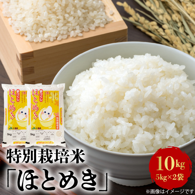 特別栽培米「ほとめき」10kg_特別栽培米 ほとめき 5kg × 2袋 10kg 光沢 粘り 上品 さっぱり 甘み 特徴 ご飯 おにぎり お弁当 久留米市農業協同組合 食品 穀物 生鮮食品 米 グルメ お取り寄せ お取り寄せグルメ 福岡県 久留米市 送料無料_Gr001
