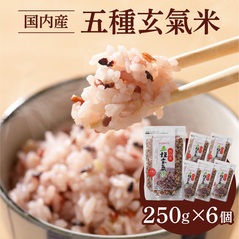 国内産 五種玄氣米 250g×6個 計1500g_国内産 五種玄氣米 250g×6個 お届け回数 1回 玄米 ブレンド 雑穀米 もち赤米 うるち玄米 もち玄米 もち黒米 もち緑米 プチプチ もちもち 混ぜて炊くだけ 冷めても美味しい 主食 おにぎり 弁当 食卓 華やか 福岡県 久留米市 送料無料_Gr010 1回お届け：6個