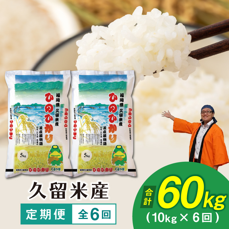 【6回定期便】令和5年産　普通精米　久留米産ヒノヒカリ計6回合計60k_ヒノヒカリ 定期便 6回 60kg 10kg×6回 米 お米 普通 精米 ご飯 おにぎり 食品 5kg×2袋 酒見糧穀 味 香り 粘り 白米 弁当 食品 食卓 主食 普段使い 美味しい お取り寄せ お取り寄せグルメ 福岡県 久留米市 送料無料_Gr029