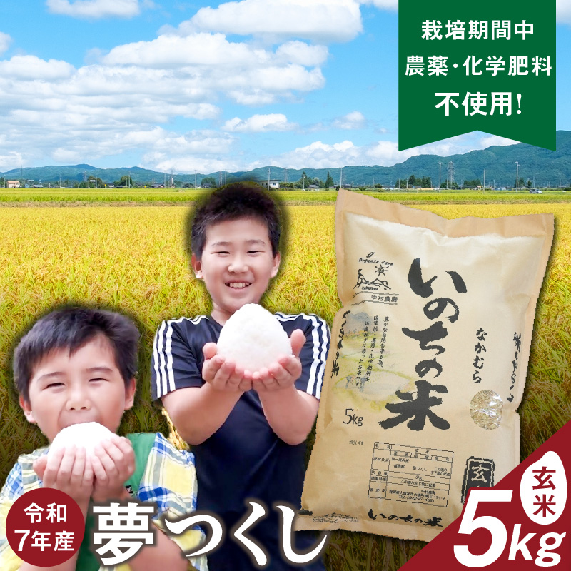 令和7年産夢つくし（玄米）5kg中村農園いのちの米_令和7年産 夢つくし 5kg 玄米 いのちの米 つややか 光沢 もちもち 食感 粘り 甘み ビタミン ミネラル 食物繊維 国産 米 新米 ブランド米 ご飯 おにぎり おむすび 弁当 主食 食品 食べ物 グルメ お取り寄せ お取り寄せグルメ 福岡県 久留米市 送料無料_Gr061