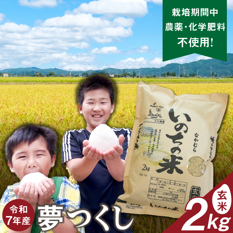 令和7年産夢つくし（玄米）2kg中村農園いのちの米_令和7年産 夢つくし 2kg 玄米 いのちの米 つややか 光沢 もちもち 食感 粘り 甘み ビタミン ミネラル 食物繊維 国産 米 新米 ブランド米 ご飯 おにぎり おむすび 弁当 主食 食品 食べ物 グルメ お取り寄せ お取り寄せグルメ 福岡県 久留米市 送料無料_Gr062