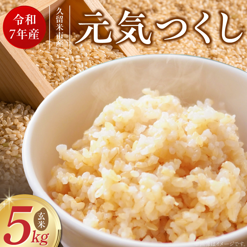 【令和7年産 新米】福岡県産ブランド米元気つくし 玄米 5kg_元気つくし 玄米 内容量 5kg 福岡県産 ブランド米 鮮度抜群 新鮮 福岡生まれ 品種 香り豊か ふっくら 食感 ご飯 おにぎり 弁当 お米 食品 お取り寄せ 九州 久留米産 福岡県 久留米市 送料無料_Gr067 5kg
