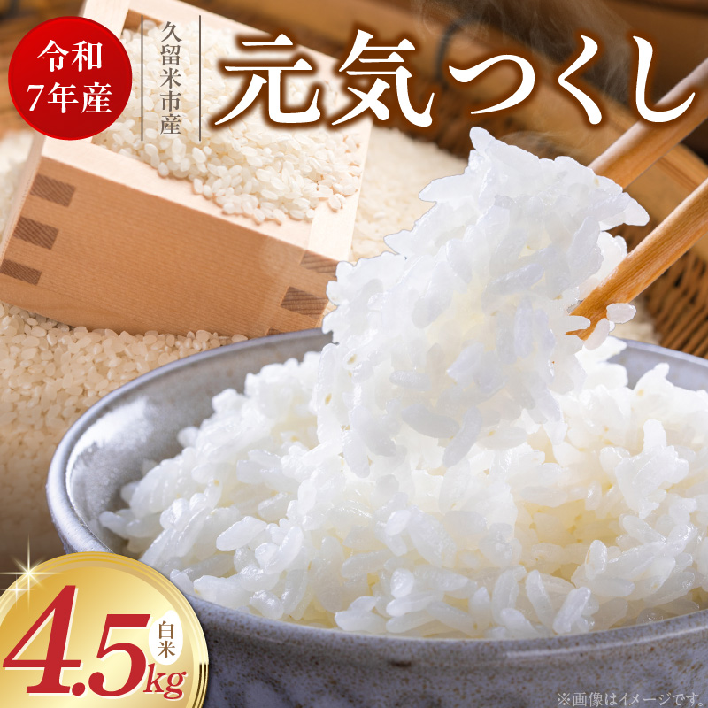 【令和7年産 新米】福岡県産ブランド米元気つくし 白米 4.5kg_元気つくし 白米 内容量 4.5kg 福岡県産 ブランド米 精米 鮮度抜群 新鮮 福岡生まれ 品種 香り豊か ふっくら 食感 ご飯 白ご飯 おにぎり 弁当 お米 食品 お取り寄せ 九州 久留米産 福岡県 久留米市 送料無料_Gr069 4.5kg