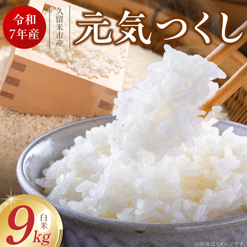 【令和7年産 新米】福岡県産ブランド米元気つくし 白米 9kg_元気つくし 白米 内容量 9kg 福岡県産 ブランド米 精米 鮮度抜群 新鮮 福岡生まれ 品種 香り豊か ふっくら 食感 ご飯 白ご飯 おにぎり 弁当 お米 食品 お取り寄せ 九州 久留米産 福岡県 久留米市 送料無料_Gr070 9kg