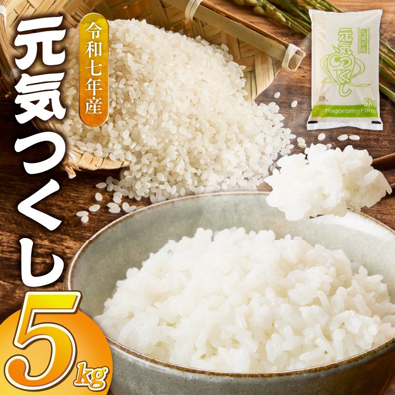 2025年新米  羽衣農園 元気つくし 白米 5kg _ 2025年 新米 福岡県産 精米 ブランド米 銘柄米 つやつや モチモチ 程よい粘り 冷めても美味しい ご飯 白ご飯 おにぎり 弁当 お米 食品 お取り寄せ 福岡県 久留米市 送料無料 _Gr074