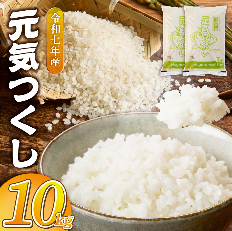 2025年新米 羽衣農園 元気つくし 白米 10kg（5kg×2） _ 2025年 新米 5kg × 2袋 計 10kg 福岡県産 精米 ブランド米 銘柄米 つやつや モチモチ 程よい粘り 冷めても美味しい ご飯 白ご飯 おにぎり 弁当 お米 食品 お取り寄せ 福岡県 久留米市 送料無料 _Gr075