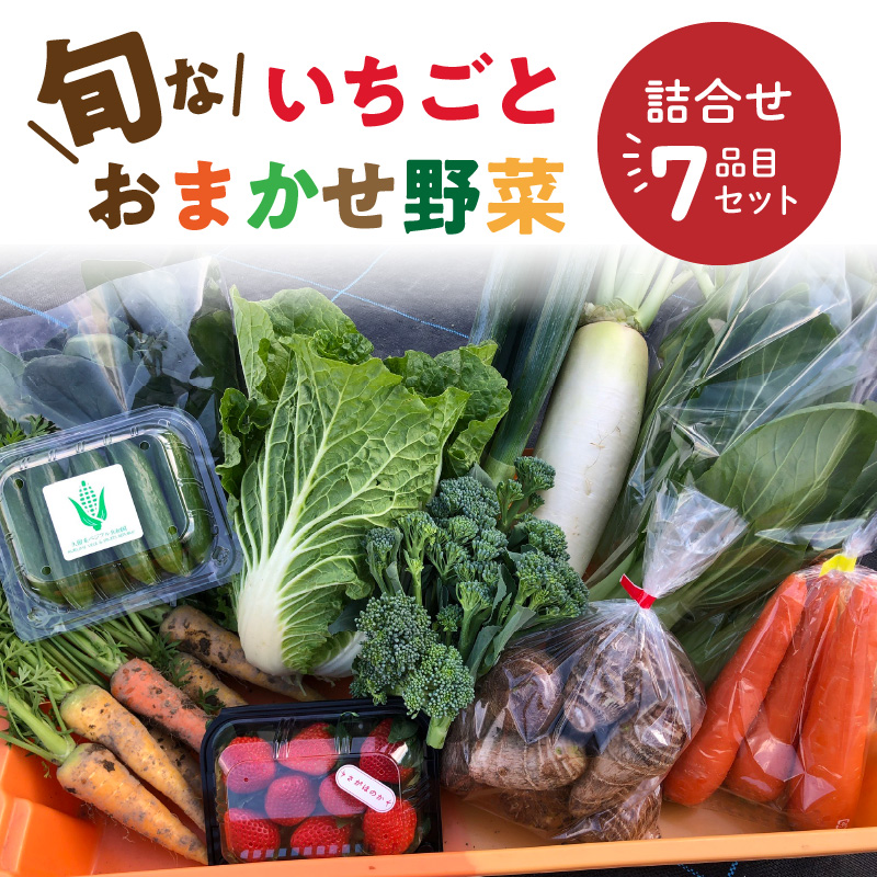旬ないちごとおまかせ野菜詰合せ7品目セット_旬 いちご 250g おまかせ 野菜 詰合せ セット 食べ頃 6品目 玉ねぎ 人参 大根 カブ サニーレタス なす キュウリ トウモロコシ ヤングコーン ケール 赤水菜 パクチー ピーマン 赤大根 サトイモ さつまいも 新鮮 食品 お取り寄せ 福岡県 久留米市 送料無料_Gv021