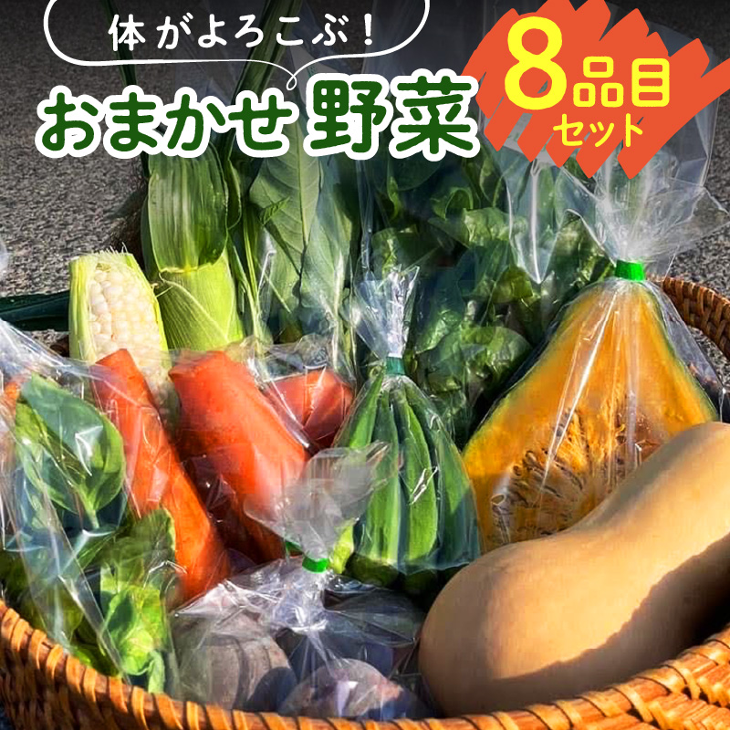 体がよろこぶ！おまかせ野菜8品目セット_体がよろこぶ 野菜 8品目 セット おまかせ 食べ頃 旬 品種 詰め合せ 新鮮 冷蔵発送 ヤングコーン ピーマン キュウリ オクラ ナス 白ナス ミニトマト かぼちゃ 人参 パクチー ケール 黒キャベツ ブロッコリー お取り寄せ 福岡県 久留米市 送料無料_Gv039