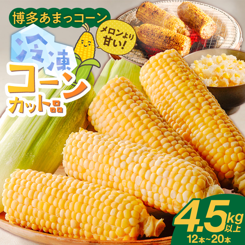 冷凍便！旬の時期に冷凍したSDGs米堆肥で作った博多あまっコーンカット品 4.5キロ以上（12～20本） _ 博多あまっコーン カット 4.5キロ以上 12 ～ 20本 カット品 とうもろこし 国産 冷凍 メロンより甘い プレミアムコーン ふくおかエコ農産物 コーン フルーツのような甘さ 野菜 酒見農産 お取り寄せ 福岡県 久留米市 送料無料 _Gv051