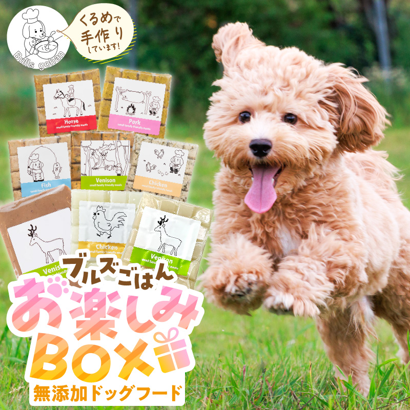 ペットフード 無添加ドッグフード・ブルズごはんお楽しみBOX_無添加ドッグフード 詰合せセット ブルズごはんお楽しみBOX CUBE型 5袋×300g（20個入、馬肉・豚肉・鹿肉・鶏肉・魚が各1袋) 鹿テリーヌ(80g)×3パック ボーンブロススープ(300g)×2パック（各20個入） 国産 手作り アレルギー ウェット 子犬 シニア犬 冷凍 ヒューマングレード 老犬 小型犬 お試し 選べる ペットフード_Pf009