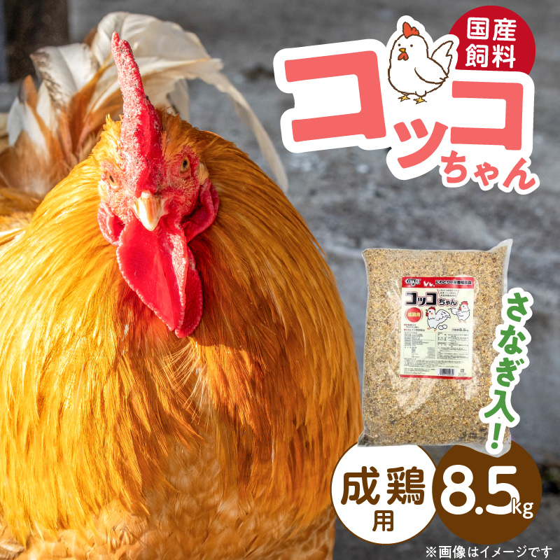 コパークラフト  題名：「菜食主義」 コッコちゃん 成鶏用 さなぎ入 8.5kg_コッコちゃん 成鶏用 飼料