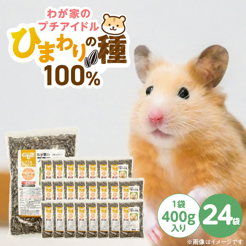 わが家のプチアイドル ひまわりの種 100%（400g×24袋）_ひまわりの種 100% 400g × 24袋 リス ハムスター モルモット ウサギ 小動物 殻付きタイプ カリカリ食感 香ばしい 風味 タンパク質 食物繊維 ビタミン ミネラル おやつ チャック付き 便利 福岡県 久留米市 送料無料_Pf083-01 400g×24袋