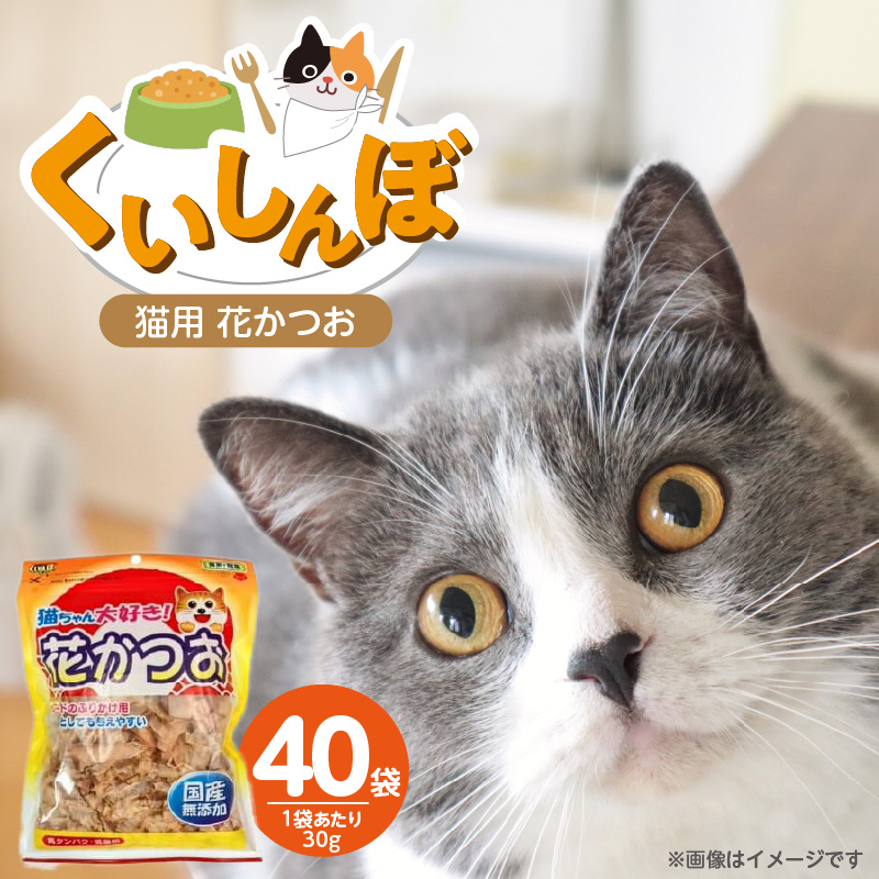 さくらんぼ いちご お花 猫 5個セット ブラインドBOX版【新品・未開封
