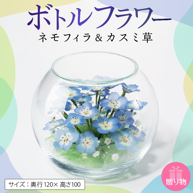 ネモフイラとカスミ草のボトルフラワー_ボトルフラワー ネモフィラ カスミ草 奥行120×高さ100 ドライフラワー ガラス容器 インテリア 雑貨 観賞用 花 フラワー アレンジメント ギフト 贈り物 プレゼント 福岡県 久留米市 お取り寄せ 送料無料_Qb008