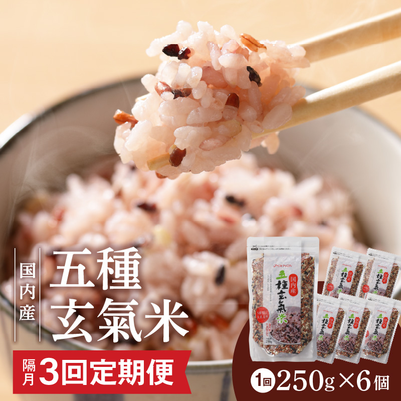 【隔月3回　定期便】国内産 五種玄氣米 250g×6個 1500g×3回_国内産 五種玄氣米 250g×6個 お届け回数 3回 玄米 ブレンド 雑穀米 もち赤米 うるち玄米 もち玄米 もち黒米 もち緑米 プチプチ もちもち 混ぜて炊くだけ 冷めても美味しい 主食 おにぎり 弁当 食卓 華やか 福岡県 久留米市 送料無料_Tk025 定期便：（2ヶ月に一度）×3回