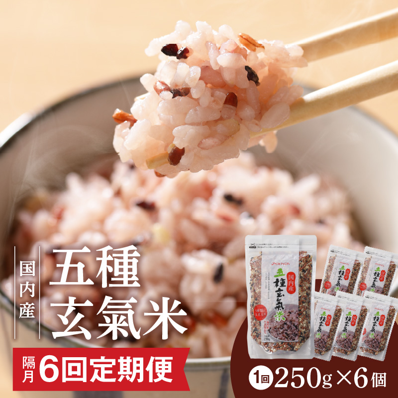 【隔月6回　定期便】国内産 五種玄氣米 250g×6個 1500g×6回_国内産 五種玄氣米 250g×6個 お届け回数 6回 玄米 ブレンド 雑穀米 もち赤米 うるち玄米 もち玄米 もち黒米 もち緑米 プチプチ もちもち 混ぜて炊くだけ 冷めても美味しい 主食 おにぎり 弁当 食卓 華やか 福岡県 久留米市 送料無料_Tk026 定期便：（2ヶ月に一度）×6回