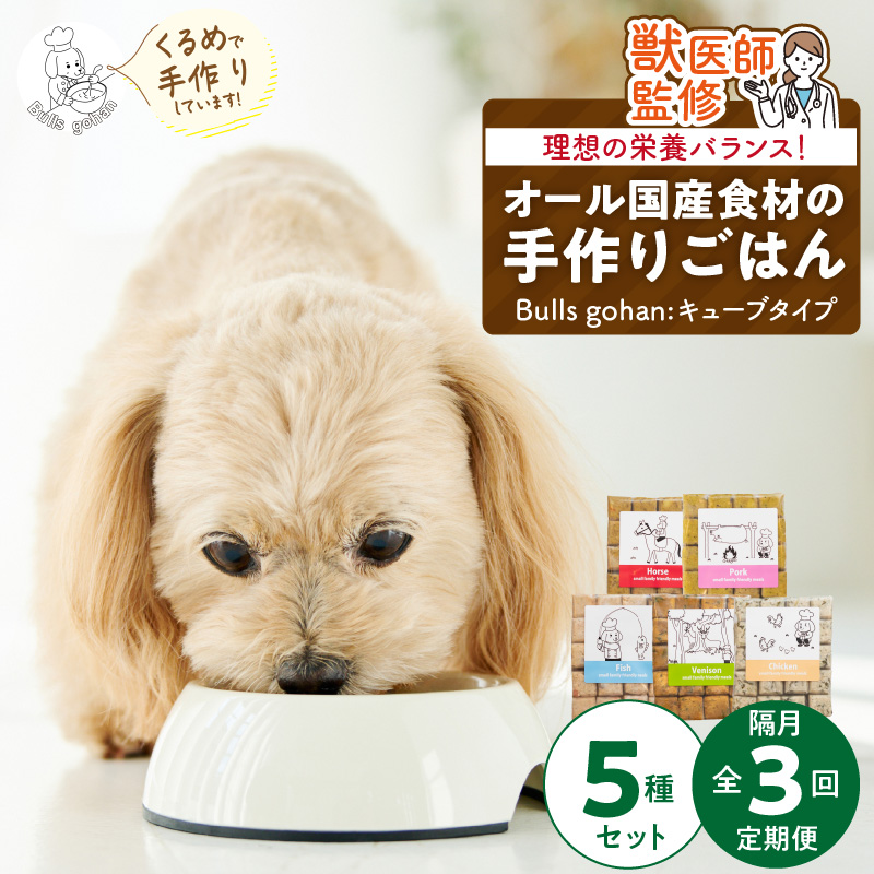 【定期便：隔月3回お届け！】ペットフード　無添加ドッグフード・ブルズごはんCUBEタイプ　300g×5袋（馬・豚・鹿・鶏・魚）_定期便 無添加 ドッグ フード ブルズごはん CUBE 300g × 5袋 隔月 計3回 馬肉 チーズ 豚肉 鹿肉 魚 野菜 鶏 ダシ 雑炊風 5種類 キューブタイプ 国産 手作り ごはん 混ぜるだけ おやつ ローテーション 成犬 シニア犬 愛犬 冷凍 福岡県 久留米市 送料無料_Tk040