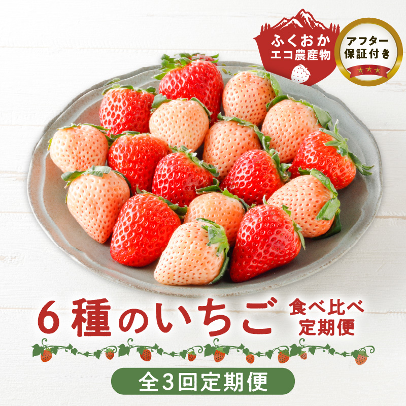 【定期便 3回】特別栽培 6種のいちごの食べ比べ 約540g×3回 _ 定期便 3回 特別栽培 6種 いちご 食べ比べ セット ふくおかエコ農産物 旬のいちご 新鮮 久留米市産 白いちご 淡雪 天使のいちご あまおう かおりの 紅ほっぺ すず 果物 おやつ デザート お取り寄せ フルーツ 福岡県 久留米市 送料無料 _Tk049
