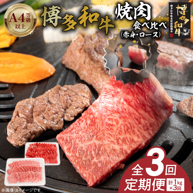 博多和牛赤身・ロース焼肉食べ比べ　計1kg　3回定期便 _Tk053 3回定期便