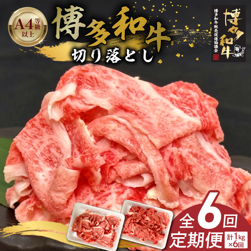 博多和牛切り落とし 500g×2パック　6回定期便 _Tk063 6回定期便