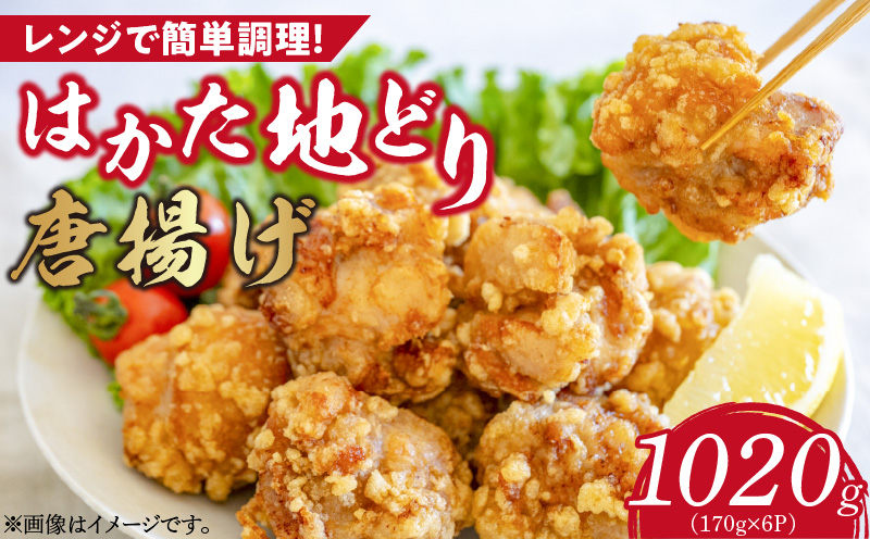 はかた地どり から揚げ1020g_から揚げ 170g × 6パック 計 1020g 福岡県産 地鶏 手間なし 電子レンジ 簡単 調理 おかず おつまみ 鶏肉 肉 加工品 食品 冷凍 グルメ お取り寄せ お取り寄せグルメ 福岡県 久留米市 送料無料_Ax128