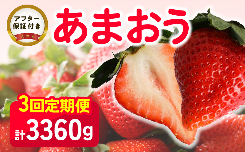 [いちごの定期便]福岡県産 あまおう 合計3,360g (2月・3月・4月の3回 1,120g(280g×4パック))_[定期便]福岡県産 あまおう 2月 3月 4月 3回お届け 1,120g 280g × 4パック 計 3,360g いちご ブランドいちご 果物 アレンジ おやつ お菓子 苺タルト クッキー フルーツ スイーツ スムージー ジャム 南国フルーツ お取り寄せ 福岡県 久留米市 送料無料_Fi035-V1