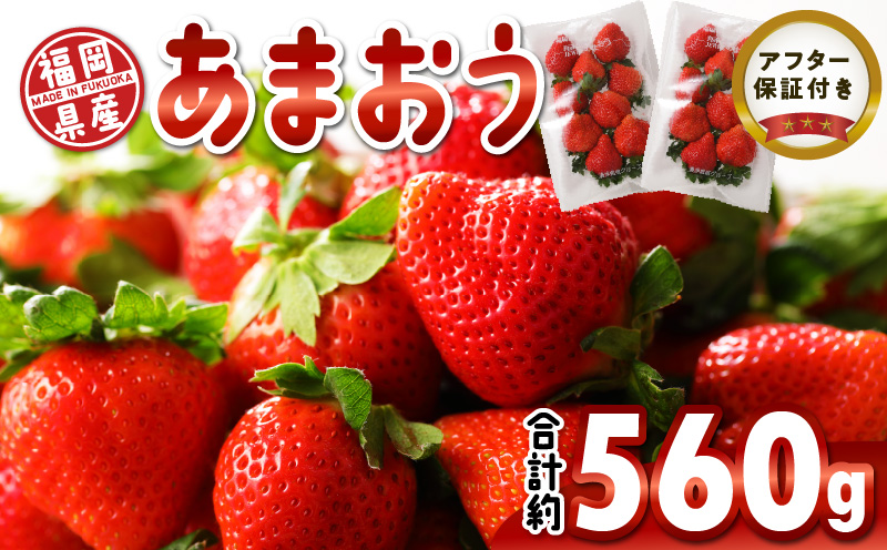 福岡県産 あまおう 約560g(約280g×2パック) いちご あまおう 福岡県産 食べごたえのある大きさ 果汁 スイーツサンド パフェ ショートケーキ 旬 果物 フルーツ スイーツ おやつ 久留米市 冷蔵 お取り寄せ 送料無料