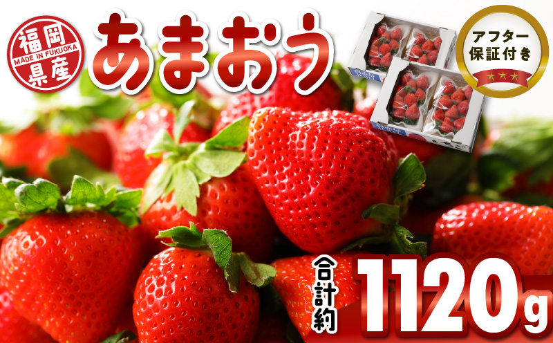 福岡県産 あまおう 約1120g(約280g×4パック) 福岡限定 いちご 希少 福岡県産 久留米市 フルーツ 果物 果汁 フルーティー ビタミンC キシリトール カリウム 食物繊維 スイーツ デザート いちごジャム いちご煮 冷蔵 お取り寄せ 送料無料