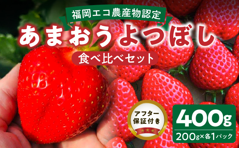 福岡県エコ農産物認定 堀農園のあまおう&よつぼし食べ比べセット400g(200g×2パック)_エコ農産物認定 堀農園 あまおう よつぼし 各 200g × 1パック 計 400g 食べ比べ セット 完熟 食べ頃 いちご チルド便 大粒 甘み 程よい 酸味 バランス 絶妙 果汁 ジューシー 四つ星級 お取り寄せ 福岡県 久留米市 送料無料_Fi075