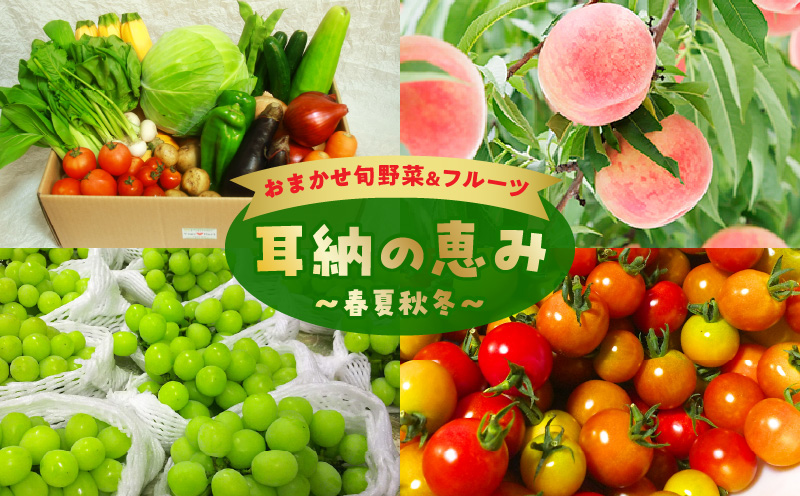 おまかせ旬野菜&フルーツ 耳納の恵み 春夏秋冬_旬 野菜 フルーツ おまかせ セット 2ケース お取り寄せ グルメ 野菜詰め合わせ フルーツ詰め合わせ ギフト 野菜セット 新鮮 農家直送 季節 季節野菜 旬野菜 旬フルーツ 果物 春野菜 夏野菜 秋野菜 冬野菜 送料無料_Gv011