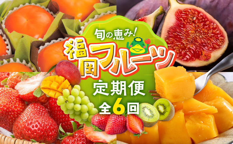[定期便 6回]旬の恵み!福岡フルーツ定期便 _ 定期便 6回 フルーツ 完熟 マンゴー シャインマスカット 黒イチジク ビオレソリエス キウイ 甘うぃ 柿 福岡県GAP 秋王 あまおう いちご グルメ 旬 お取り寄せ 福岡県 久留米市 送料無料 _Tk127