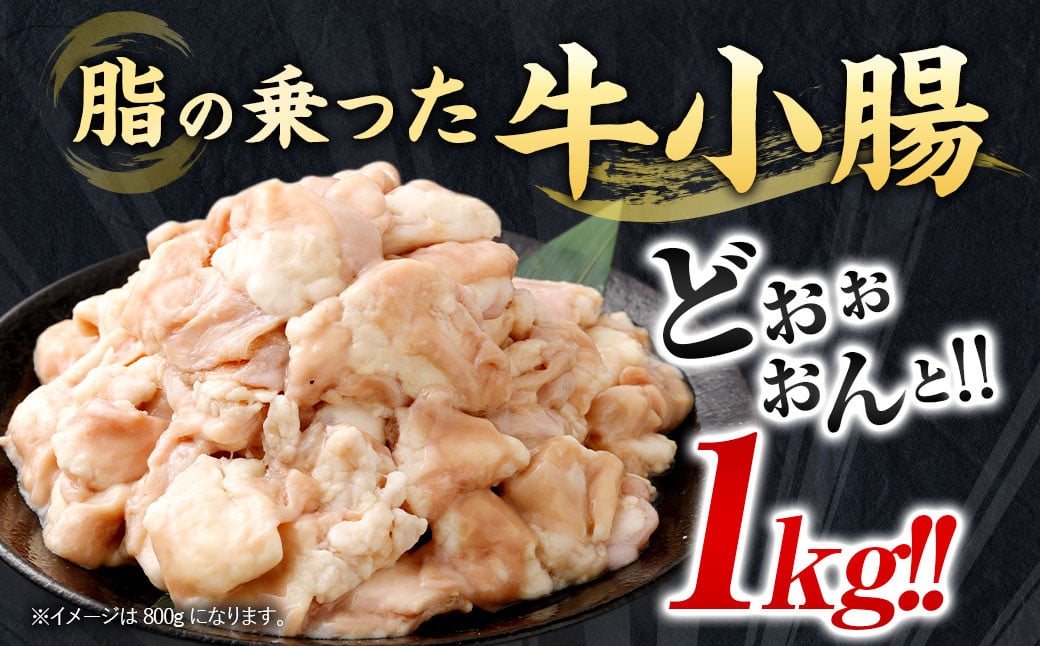 もつ鍋セット 10人前 （醤油味） 牛モツ1kg もつ鍋 ホルモン モツ 牛モツ 醤油 しょうゆ 鍋 セット 福岡