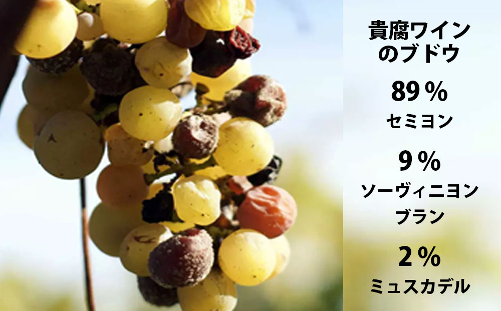 福智山ダム熟成 高級 貴腐ワイン白 シャトー リューセック 2022年 750ml×1本 FD182 熟成ワイン ワイン 酒 お酒