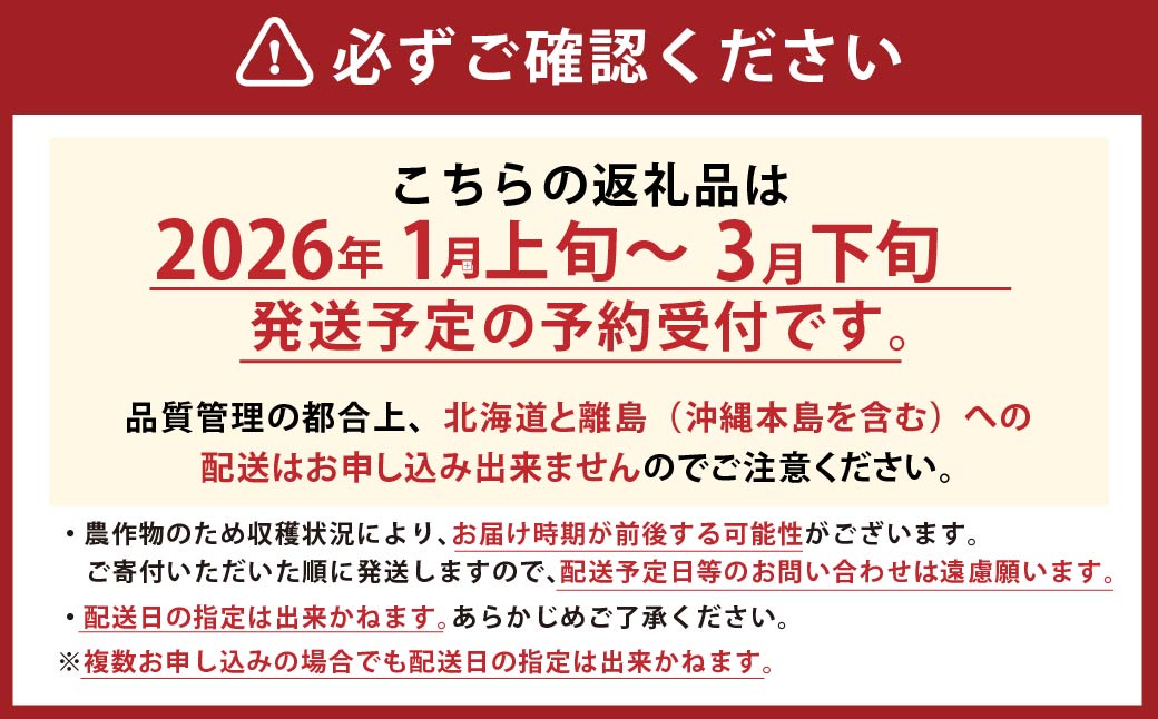 ギフト配送 福岡県産あまおう EX 約450g×2パック 合計約900g 〈特別栽培〉【2026年1月上旬～3月下旬発送予定】