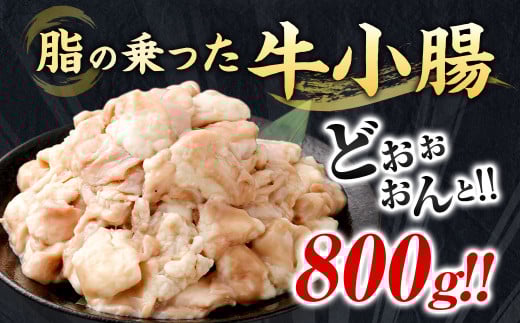 もつ鍋セット 8人前 （醤油味）牛モツ800g もつ鍋 ホルモン モツ 牛モツ 醤油 しょうゆ 鍋 セット 福岡