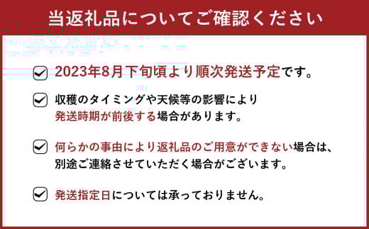 【2023年8月下旬より順次発送】豊水 梨 約10kg (16～24玉)