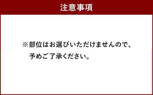 国産 博多和牛 切り落とし 500g 化粧箱入り 黒毛和牛