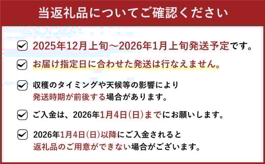 福岡県産 博多あまおう DX 上級品 約560g (約280g×2パック入り) いちご 苺