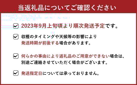 【2023年9月上旬より順次発送】秋月 梨 約5kg (8～13玉)