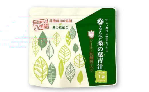 九州産 桑の葉 & シールド乳酸菌(R) 使用 桑の葉 青汁 31袋