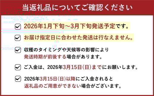 福岡県産 博多あまおう 約1.68kg （約280g×6パック入り） 【2026年1月下旬～3月下旬発送予定】 ※北海道・沖縄・離島配送不可